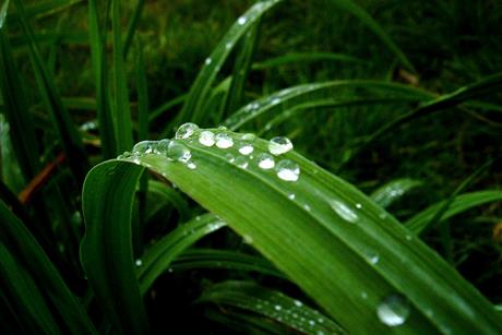 HÔTEL DE L'EUROPE ***